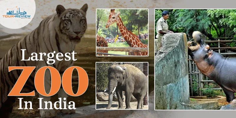 the-largest-zoo-in-India